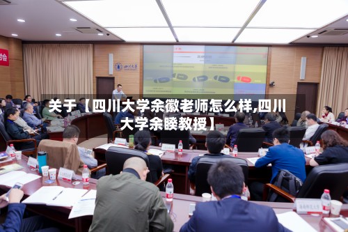 关于【四川大学余徽老师怎么样,四川大学余睽教授】-第2张图片