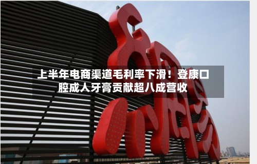 上半年电商渠道毛利率下滑!登康口腔成人牙膏贡献超八成营收-第1张图片