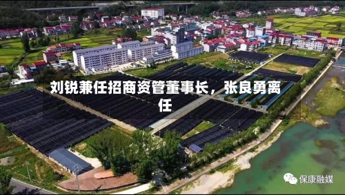 刘锐兼任招商资管董事长，张良勇离任-第2张图片