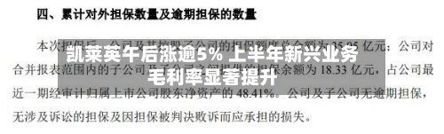凯莱英午后涨逾5% 上半年新兴业务毛利率显著提升-第2张图片
