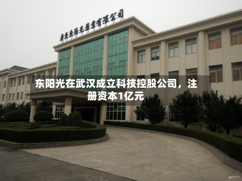 东阳光在武汉成立科技控股公司	，注册资本1亿元-第1张图片